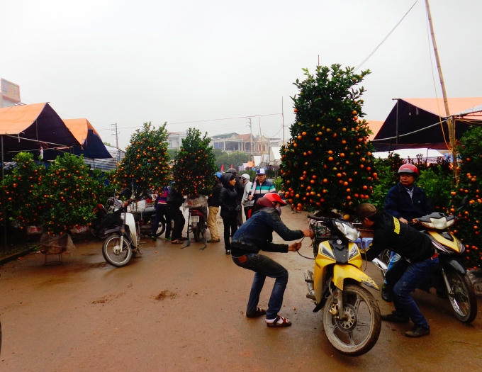 Không khí mua bán tấp nập tại chợ hoa TP Phủ Lý.