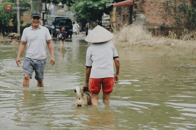 Cô Lan đưa con chó cưng về nhà.
