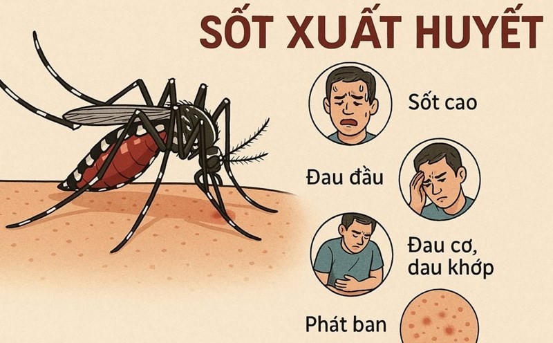 Hà Nội ghi nhận hơn 2.200 ca nhiễm sốt xuất huyết.