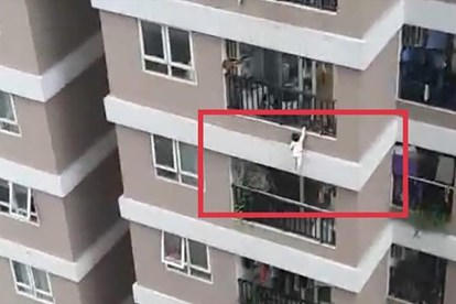 154686085-2603773424