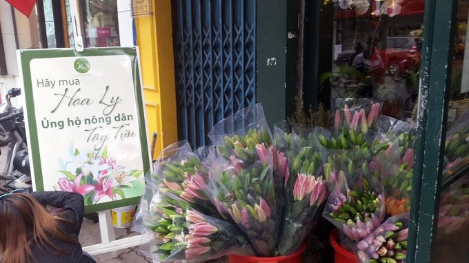 Shop hoa tươi Liti Florist số 3 Phố Huế bán hoa ly không lợi nhuận