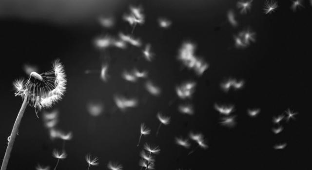 Tu tâm dưỡng tính, lấy tình thương để khắc chế nóng giận