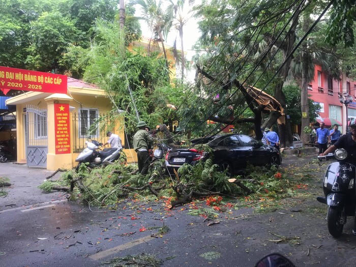 Hiện trường vụ việc trên.