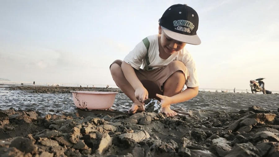 Su Hào vui khi cào được ngao