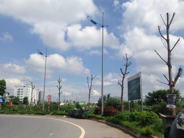 Hàng cây không còn "Sức sống" trên con đường.
