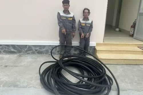 Vũ và Phương giả danh nhân viên công ty để đi cắt trộm cáp viễn thông