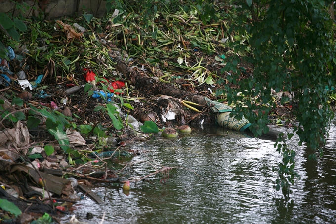 Mầm mống bệnh tật trong