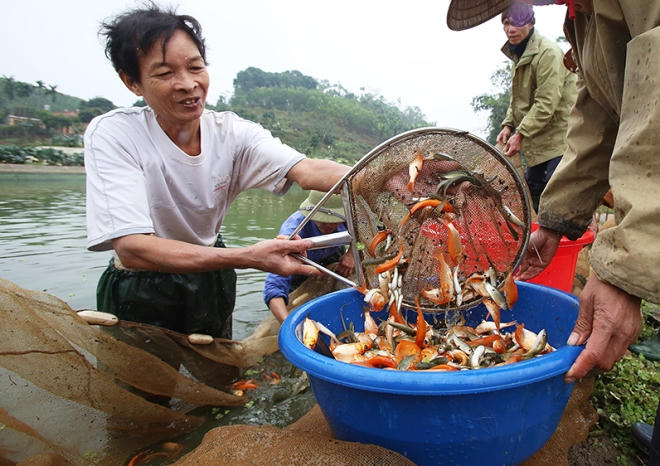 Nghề ươm nuôi cá chép đỏ ở làng Thủy Trầm bắt đầu từ những năm 1960. Hiện cả làng có 435 hộ nuôi cá, diện tích 26 ha. Cá giống được thả từ tháng 7 âm lịch.