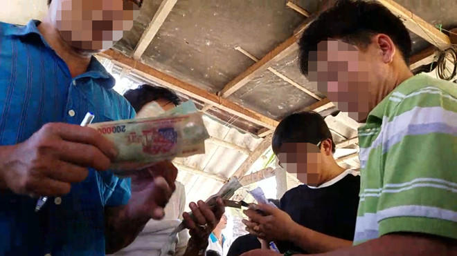 Xâm nhập trường gà độ miền quê