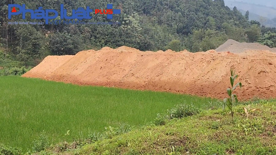 z4217166714968_dc41f200a639053ee429bbd48c3d7073