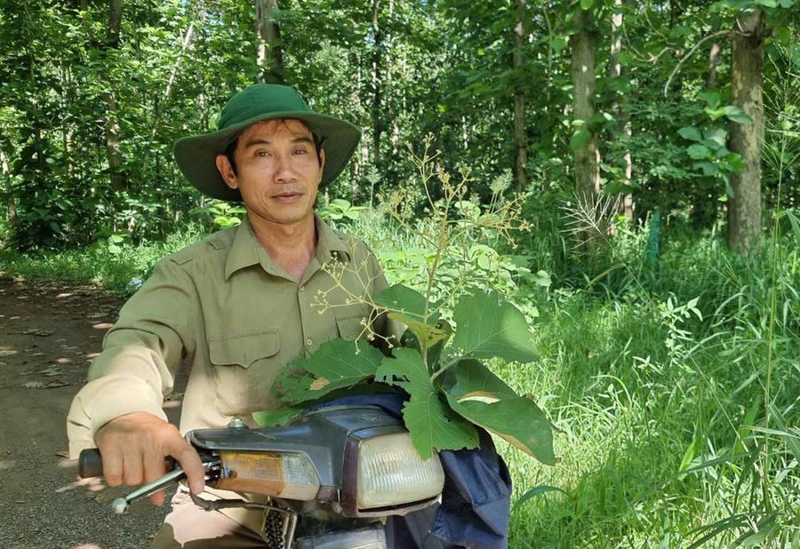 Với những giá trị hiện hữu, nơi đây chắc chắn sẽ là điểm đến không thể bỏ lỡ cho du khách yêu thiên nhiên và muốn tìm hiểu về lịch sử văn hóa
