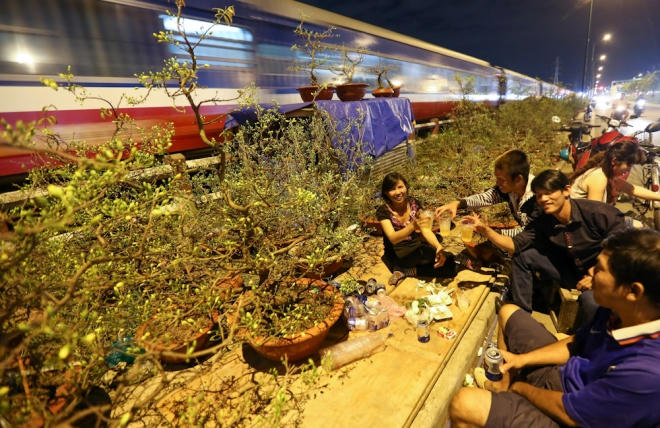 Gần 1h sáng, nhóm nhân công của vườn mai An Phú (quận Thủ Đức) ngồi ăn uống nhẹ, nói chuyện bên cạnh đường tàu xe lửa (đường Kha Vạn Cân) để "giết thời gian". "Chúng tôi được chủ trả lương 300.000 đồng một ngày để trông mai. Việc này đơn giản nhưng nếu sơ sẩy để mất cây thì lĩnh đủ", anh Kiều (26 tuổi) cho biết.