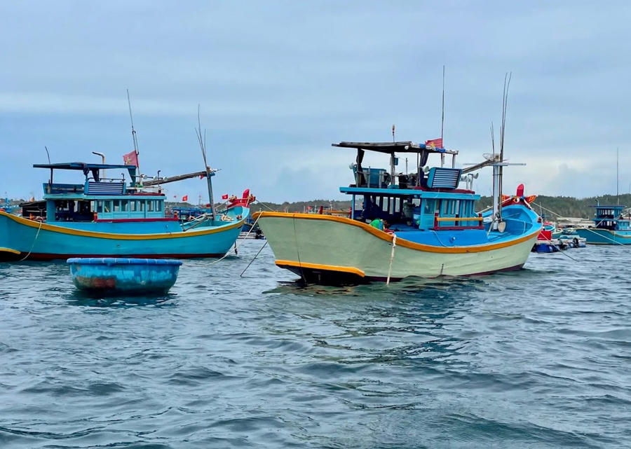 Một số tỉnh miền Trung chủ động ứng phó bão số 1. (Ảnh minh họa)