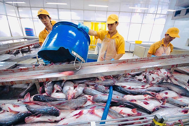 Trung Quốc và Hoa Kỳ là hai thị trường lớn về xuất khẩu cá tra của Việt Nam.