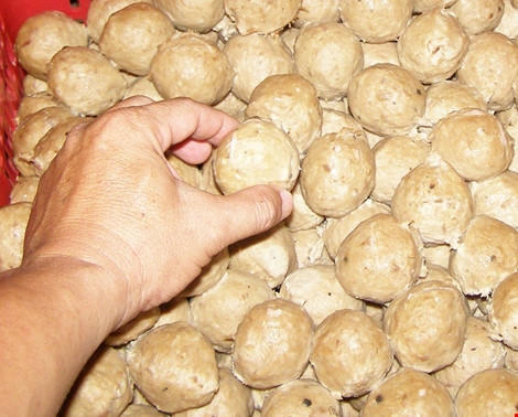 Cơ quan chức năng TP.HCM đã từng phát hiện bò viên được làm từ thịt trâu, gà, cá… Ảnh: Trần Ngọc