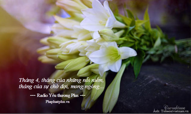 Radio Y&ecirc;u thương Plus số 103: Th&aacute;ng 4 về&hellip;