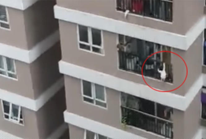 Hình ảnh bé gái N.P.H đã trèo khỏi ban công tầng 12A tòa nhà 60B Nguyễn Huy Tưởng và rơi xuống đất. Rất may có nam thanh niên đỡ được. Ảnh cắt từ clip
