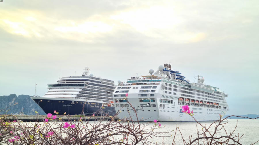 2 tàu biển Westerdam (quốc tịch Hà Lan) và tàu Star Voyager (quốc tịch Bahamas) đã cập bến Cảng tàu khách quốc tế Hạ Long (Quảng Ninh) ngày 11/11, mang theo hơn 3100 khách du lịch quốc tế.