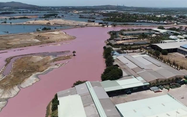 Bà Rịa - Vũng Tàu: Hồ chứa nước chuyển sang màu tím do ảnh hưởng trực tiếp từ nhà máy chế biến bột cá