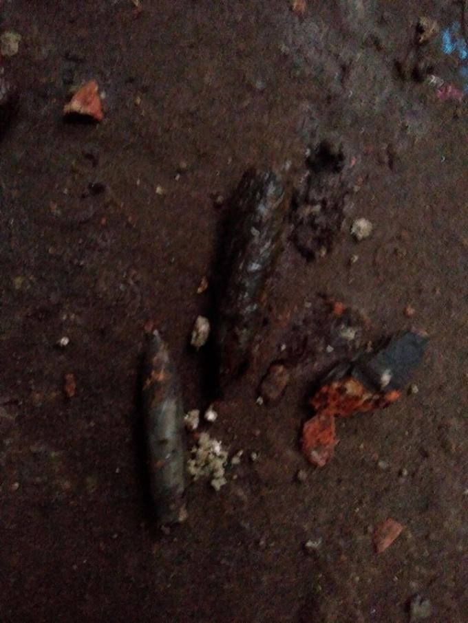 Ảnh Nguyễn Gia Hạnh.