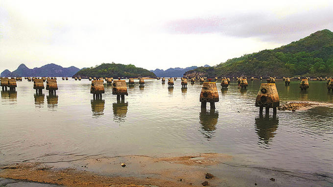 Khu neo đậu tránh trú bão cho tàu cá Cát Bà