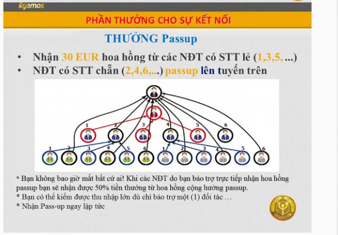 Một hình thức trả thưởng theo sơ đồ nhị phân trong kinh doanh đa cấp.
