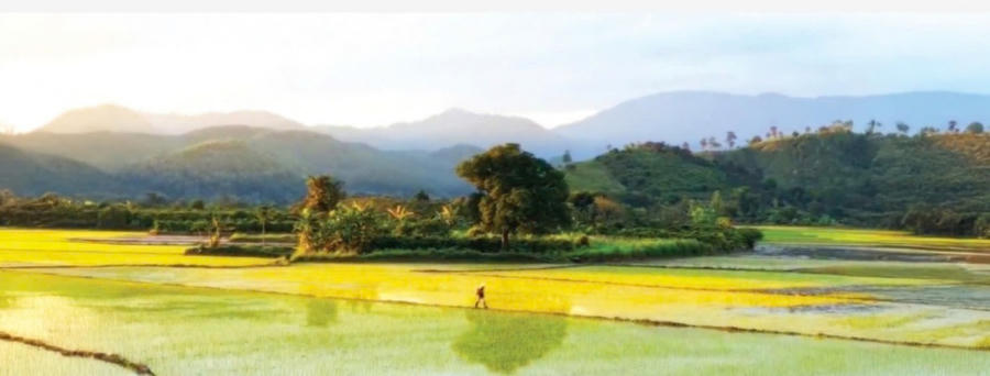 Du lịch canh nông ngày càng được ưa chuộng bởi mỗi vị khách có cơ hội thâm nhập vào không gian sống của chủ thể khác, ở địa phương khác. Ảnh: Báo Lâm Đồng