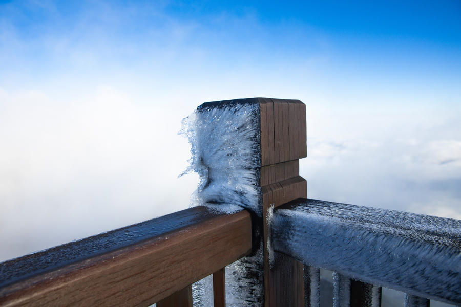 z5009956566781_f1c87cf6201db6fa45c186d9ee1585e9