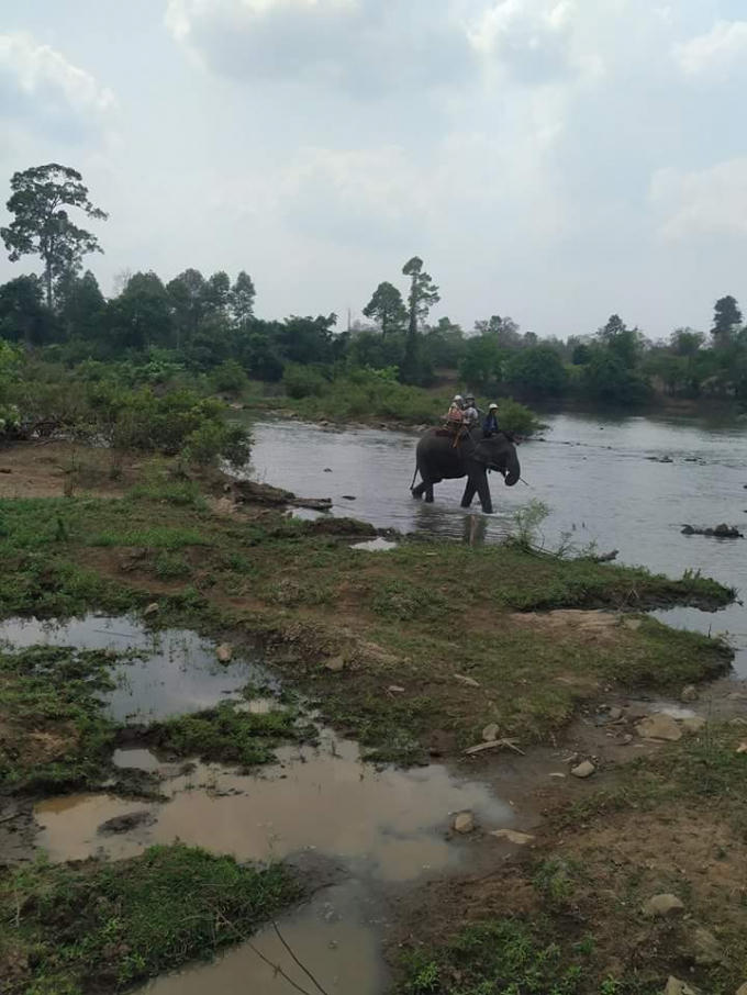 Đắk Lắk: Lễ hội c&agrave; ph&ecirc; Bu&ocirc;n Ma Thuột lần thứ 7 t&ocirc;n vinh Tinh hoa đại ng&agrave;n