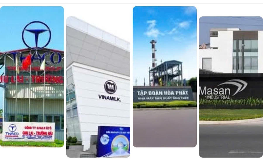 Cần xây dựng thêm nhiều doanh nghiệp lớn, tiên phong ở Việt Nam (ảnh minh họa).