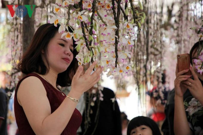 Việc triển lãm hoa lan là dịp để những người yêu thích vẻ đẹp của lan rừng trong và ngoài tỉnh có dịp thưởng lãm