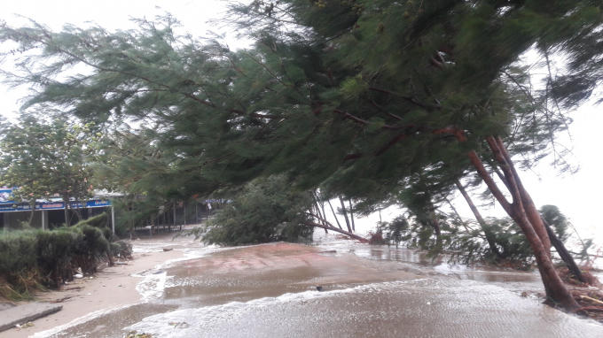 Hiện tại gió đang khá mạnh, sóng lớn.