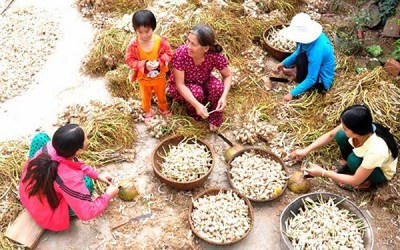 Hàng triệu khách hàng được thụ hưởng tối đa ích lợi từ các chương trình tín dụng chính sách Agribank đang triển khai