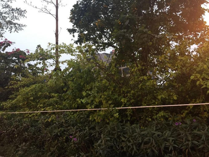 Trên đường Võ Chí Công, đoạn từ cầu Nhật Tân về, từ chiều nay, dây được căng thêm dọc hàng cây ngăn cách hai làn xe.