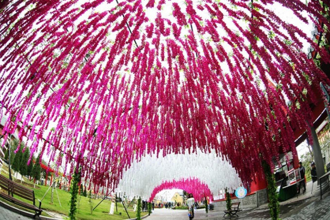 Không gian nghệ thuật được tao dựng từ nhiều loài hoa khác nhau.