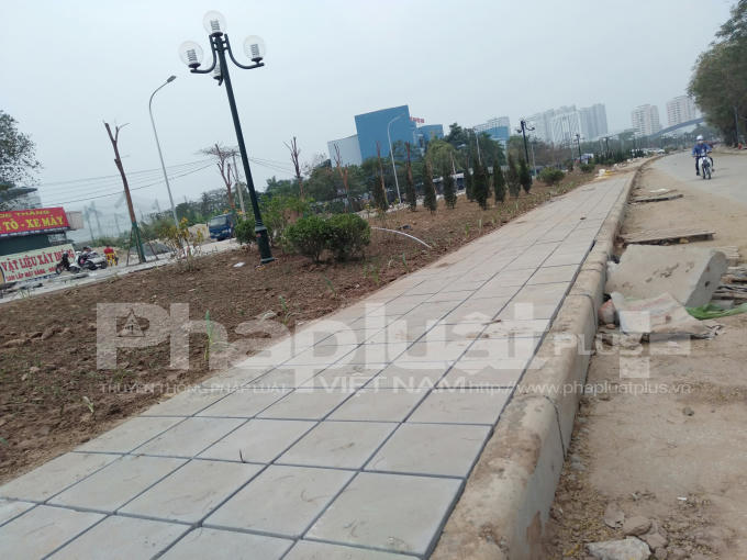 Hệ thống cây xanh, đèn điện nằm trên con mương được đơn vị thi công trồng và lắp đặt.