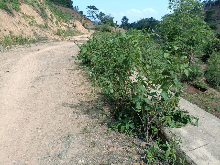 z4368847551610_071f1503c33c2ec42b92b099bb0b992f