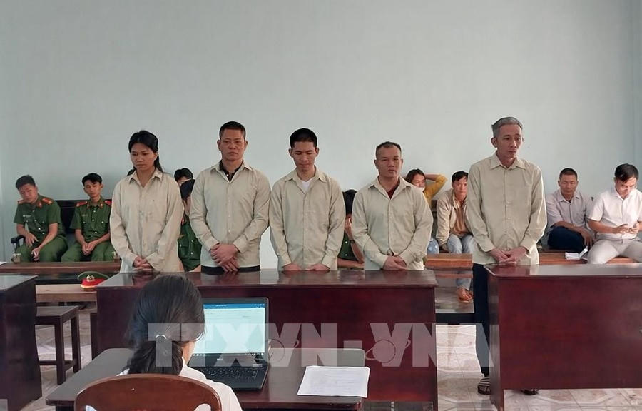 Các bị cáo trong đường dây tổ chức cho người khác trốn đi nước ngoài, ở lại nước ngoài trái phép tại Gia Lai (Ảnh: TTXVN).