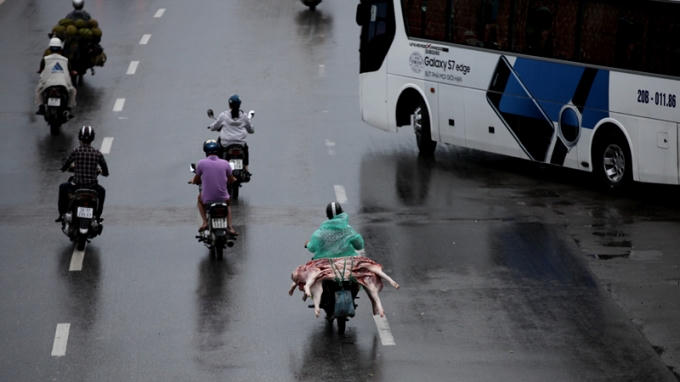 Thịt lợn được chuyên chở trên QL1, đoạn qua đường Ngọc Hồi, hầu hết không được bảo quản, bao gói kể cả khi trời mưa trong khi người vận chuyển phải mặc áo mưa.