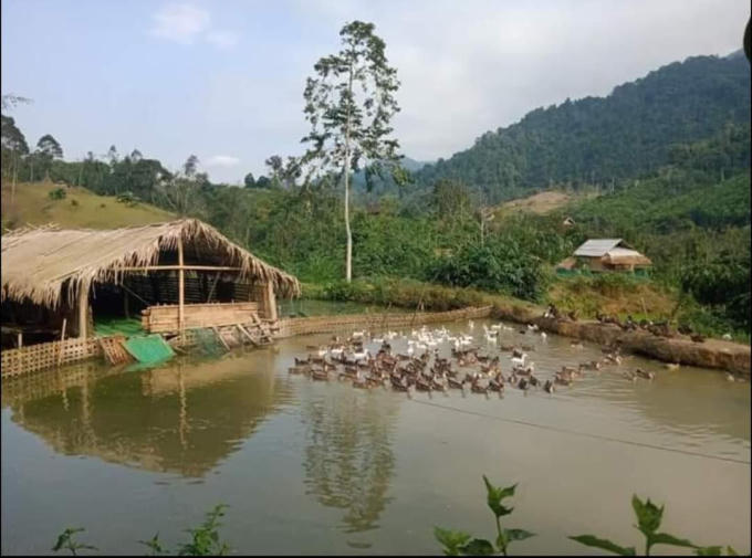 624b4801b5495c170558