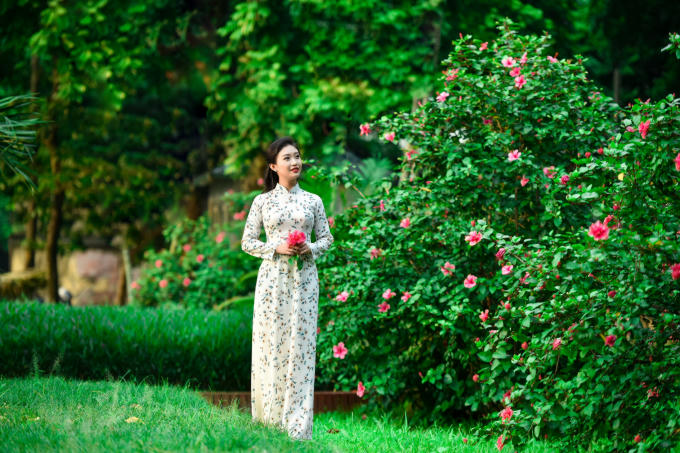 Hình ảnh thiếu nữ xúng xính váy áo bên bụi hoa râm bụt đã trở nên lạ mắt với người dân Hà thành vào mỗi độ Thu về.