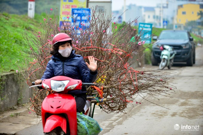 Trong tiết trời đông lạnh cộng với mưa phùn, nhìn hình ảnh hoa đào xuống phố lại phảng phất cảm giác Tết đã đến rất gần.