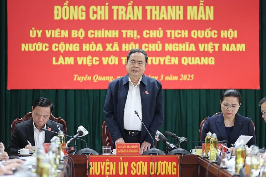 Chủ tịch Quốc hội Trần Thanh Mẫn phát biểu chỉ đạo tại buổi làm việc.