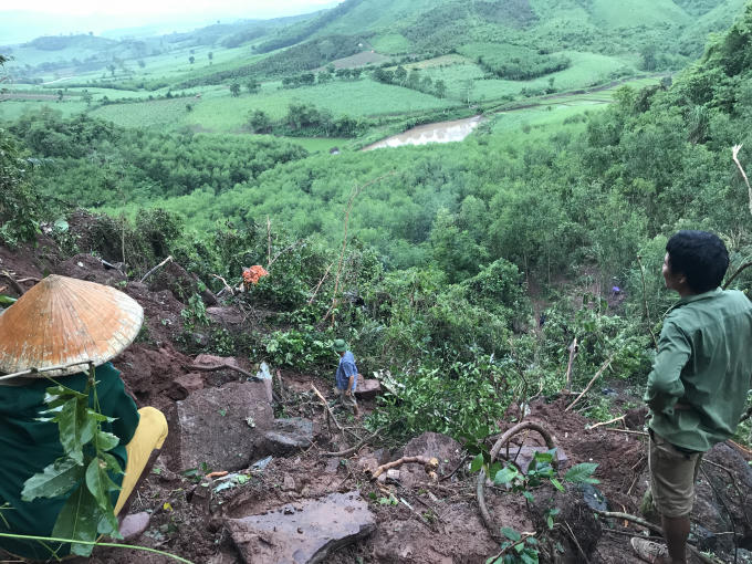 Một khu vực cây cối lớn bị gãy rạp.