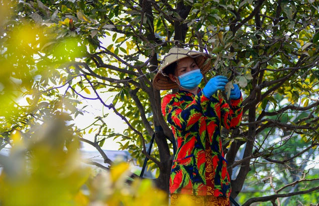 Công việc thường bắt đầu từ ngày 13 đến 17 âm lịch. 