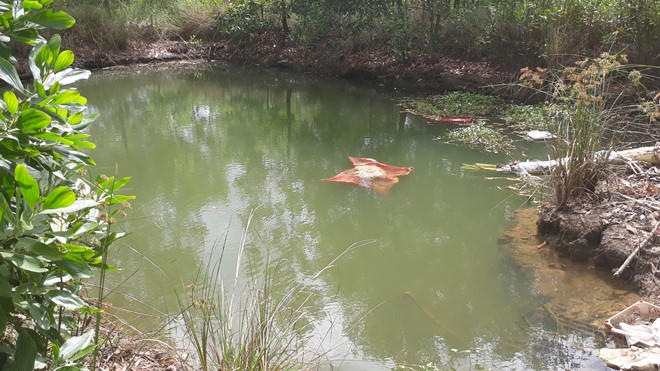 Thi thể hai bà cháu được phát hiện dưới ao trong khuôn viên chùa (ảnh minh họa).