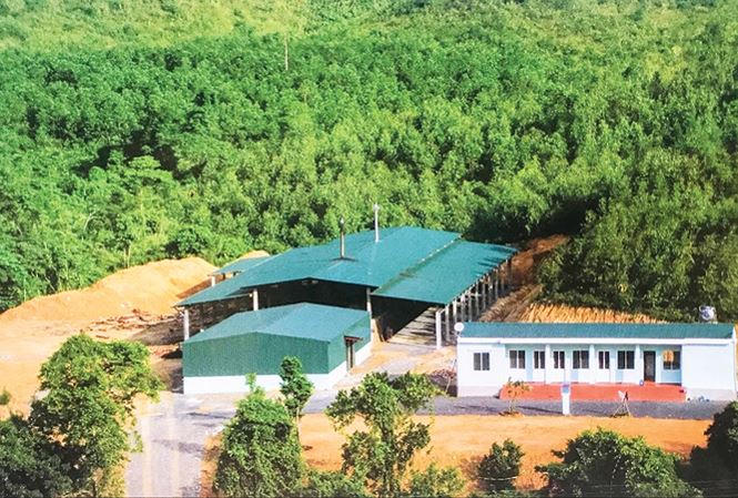 Nhà máy của Huy đặt ở nơi heo hút, để bớt vất vả cho người dân.