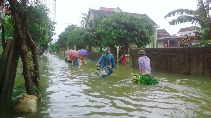Nhiều địa phương tại huyện Yên Thành, Nghệ An ngập sâu trong nước lũ.