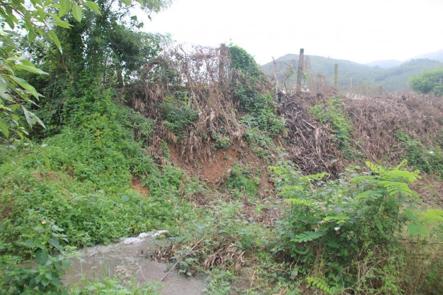 Nước đen ngòm, đặc quánh chảy ra từ trại xuống con đường đi, đồng thời bốc mùi hôi nồng nặc.