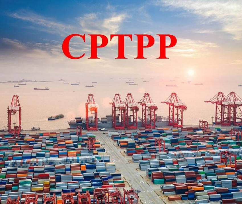 Đề xuất mới về thuế xuất nhập khẩu ưu đãi của Việt Nam thực hiện Hiệp định CTPPP. (Ảnh minh hoạ)